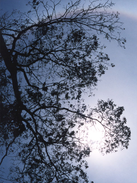 sky.jpg